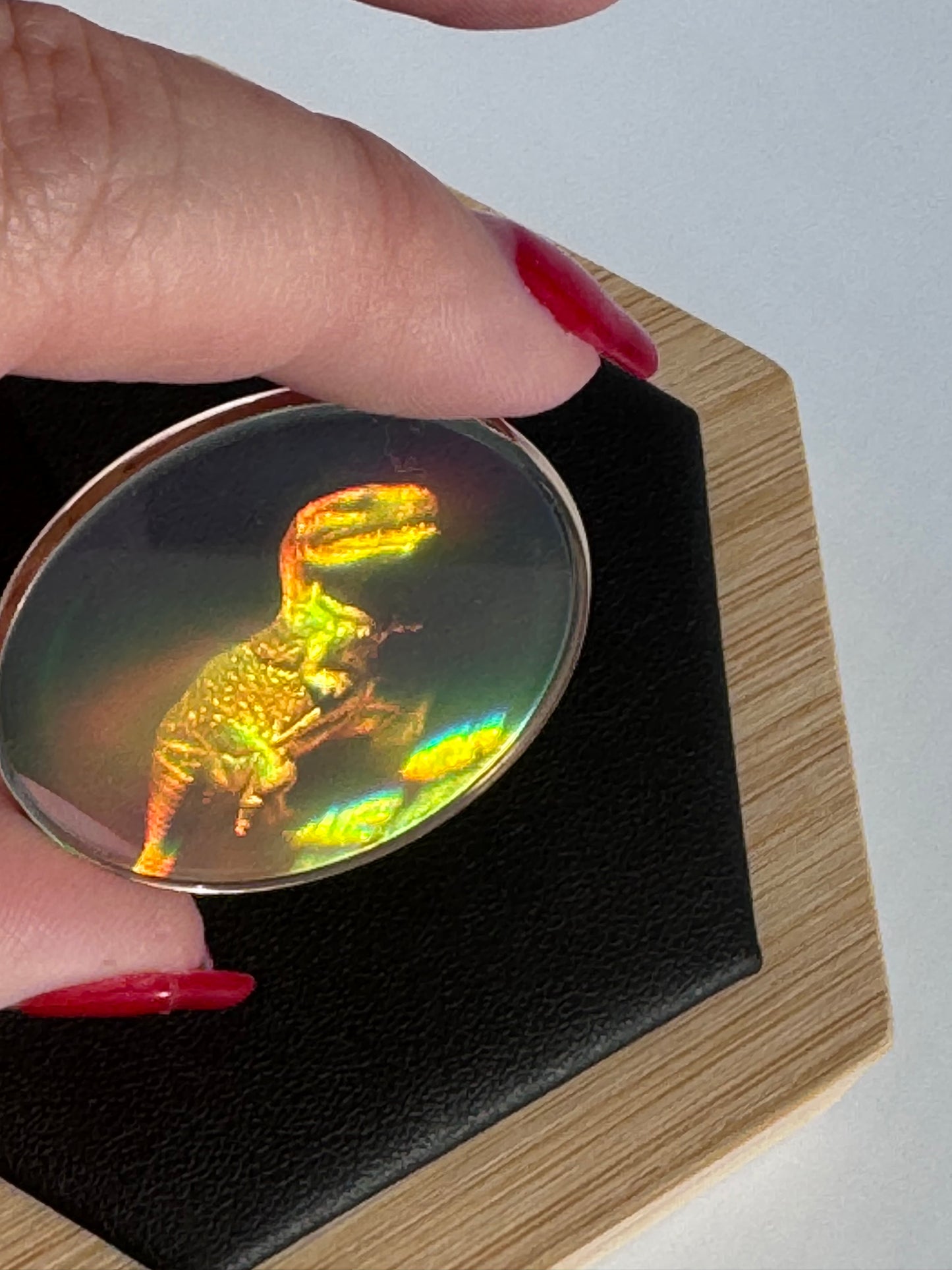 Vintage Dinosaur Hologram Pendant in 9ct Gold