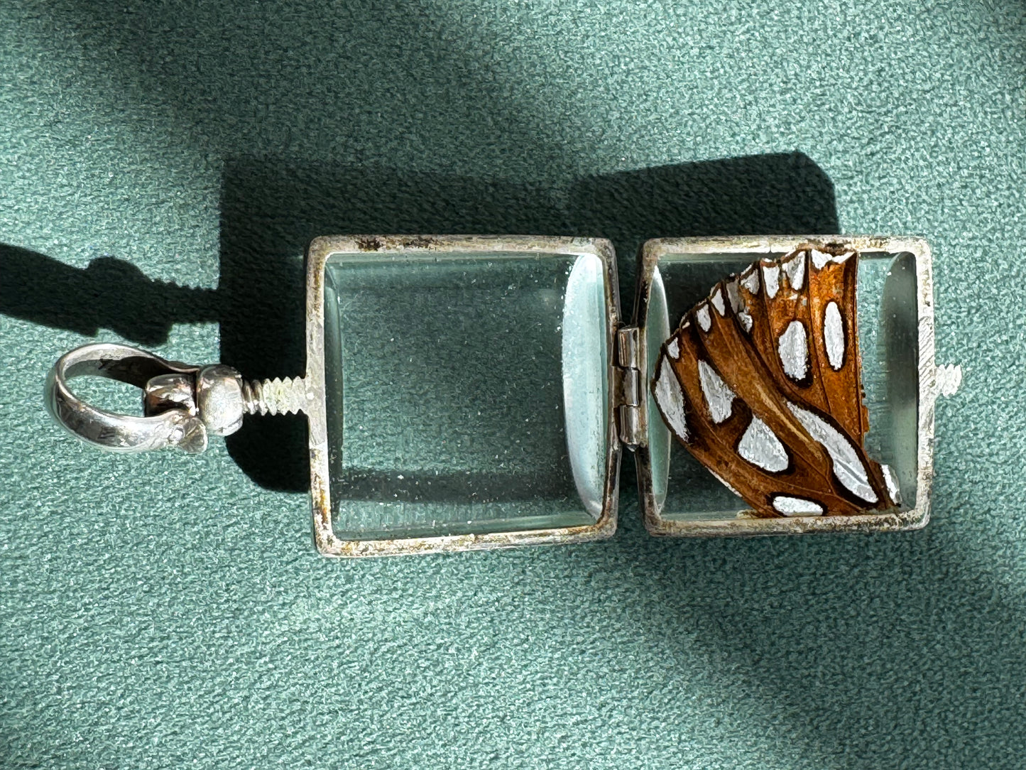 Vintage Real Butterfly Wing Sterling Silver Locket Pendant Square Glass Screw Open Insect Jewelry