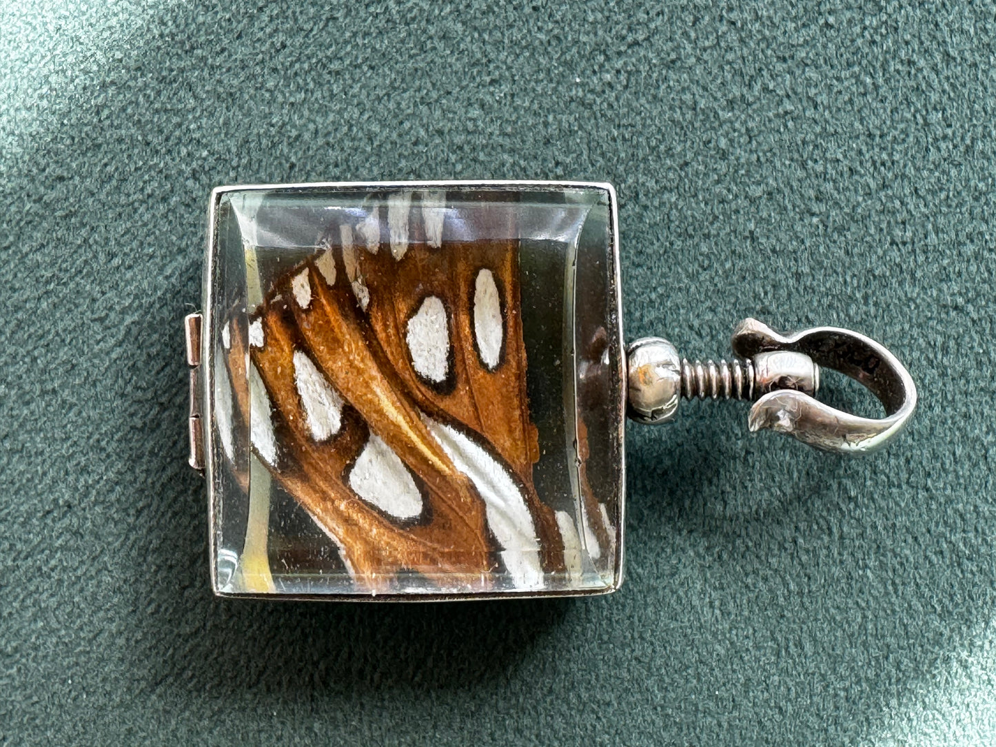 Vintage Real Butterfly Wing Sterling Silver Locket Pendant Square Glass Screw Open Insect Jewelry