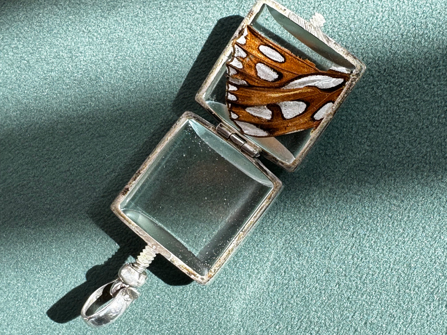 Vintage Real Butterfly Wing Sterling Silver Locket Pendant Square Glass Screw Open Insect Jewelry