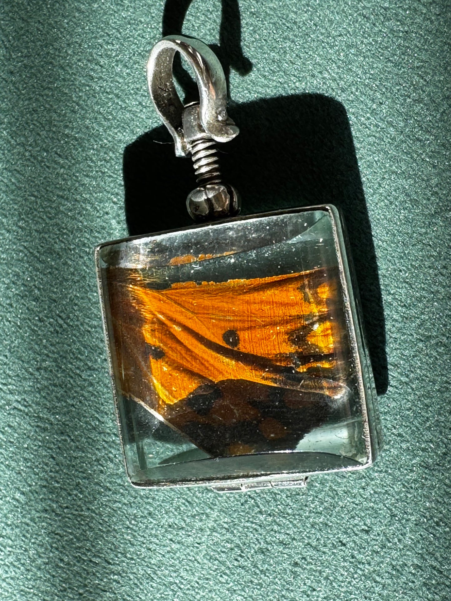 Vintage Real Butterfly Wing Sterling Silver Locket Pendant Square Glass Screw Open Insect Jewelry