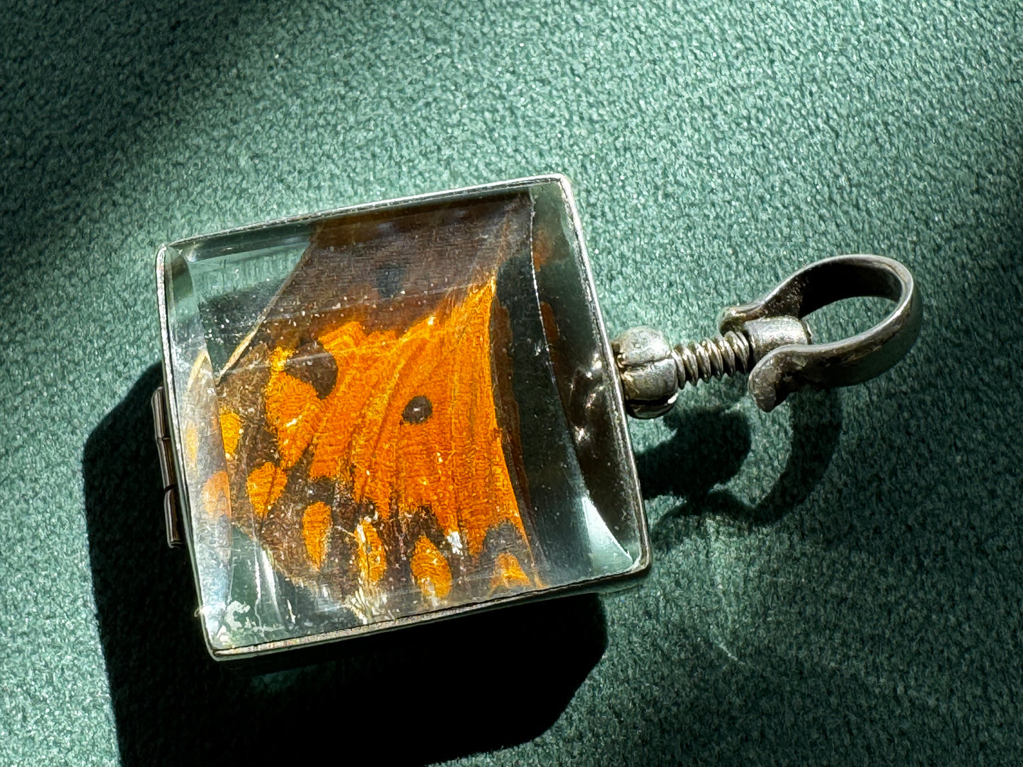 Vintage Real Butterfly Wing Sterling Silver Locket Pendant Square Glass Screw Open Insect Jewelry