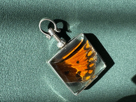 Vintage Real Butterfly Wing Sterling Silver Locket Pendant Square Glass Screw Open Insect Jewelry