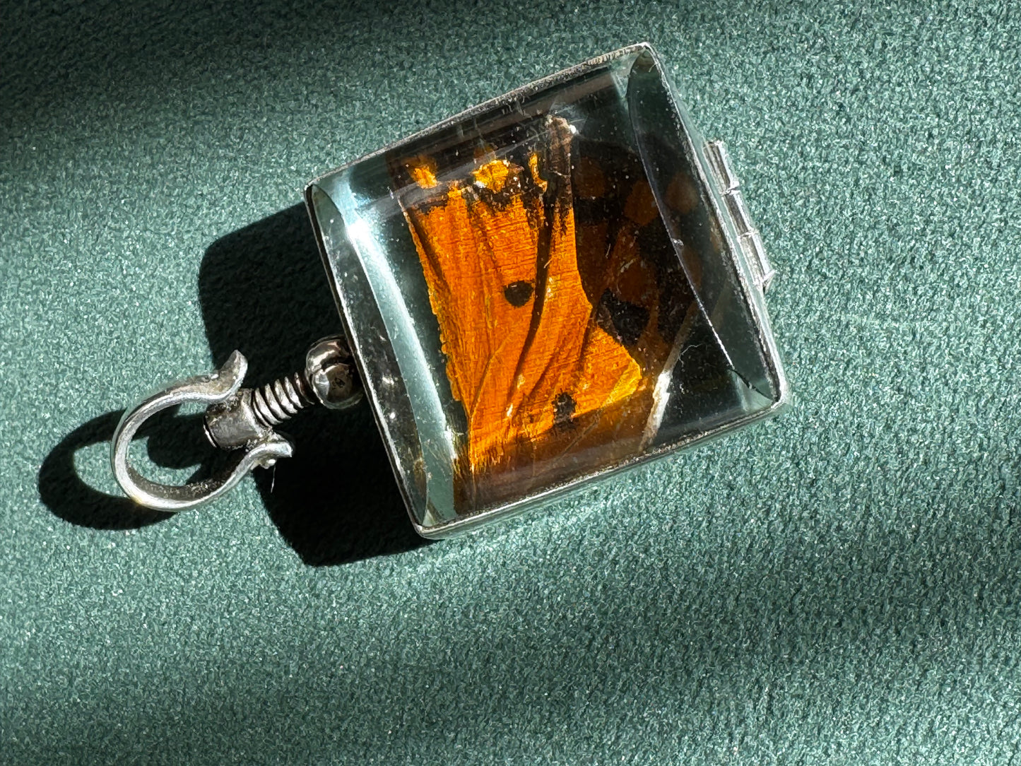 Vintage Real Butterfly Wing Sterling Silver Locket Pendant Square Glass Screw Open Insect Jewelry