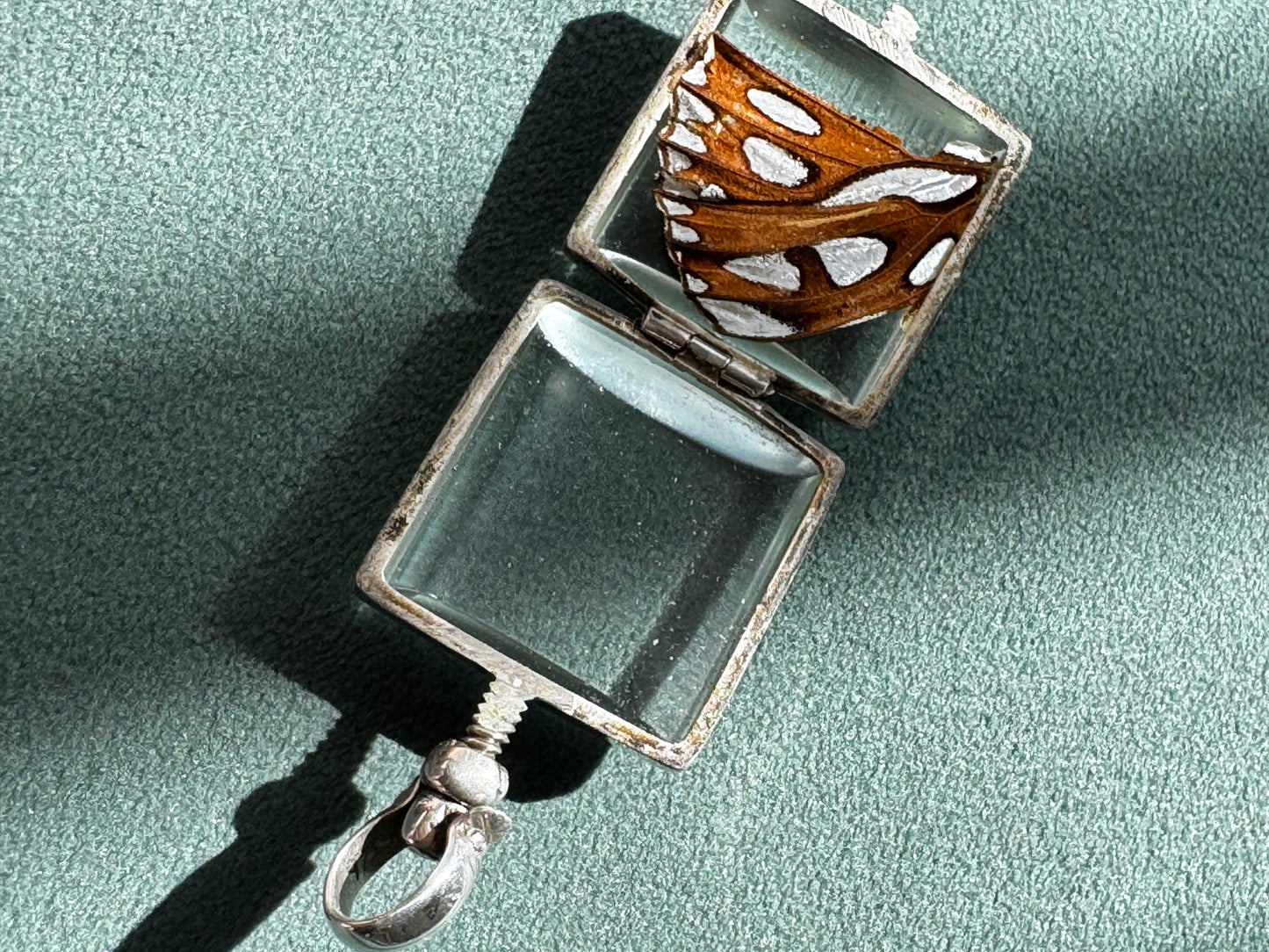 Vintage Real Butterfly Wing Sterling Silver Locket Pendant Square Glass Screw Open Insect Jewelry