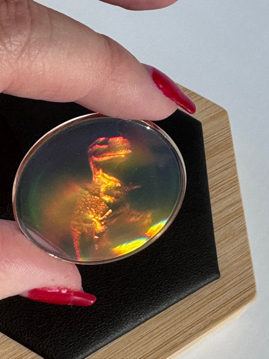 Vintage Dinosaur Hologram Pendant in 9ct Gold