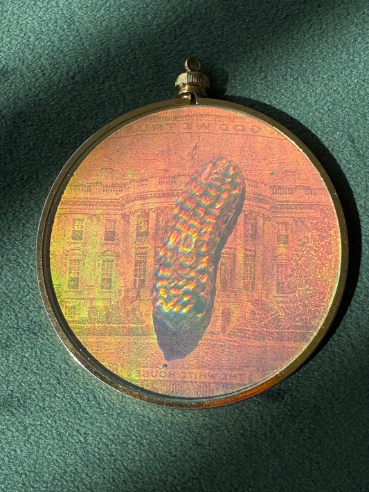 Vintage 1980s Jimmy Carter White House Peanut Hologram Pendant