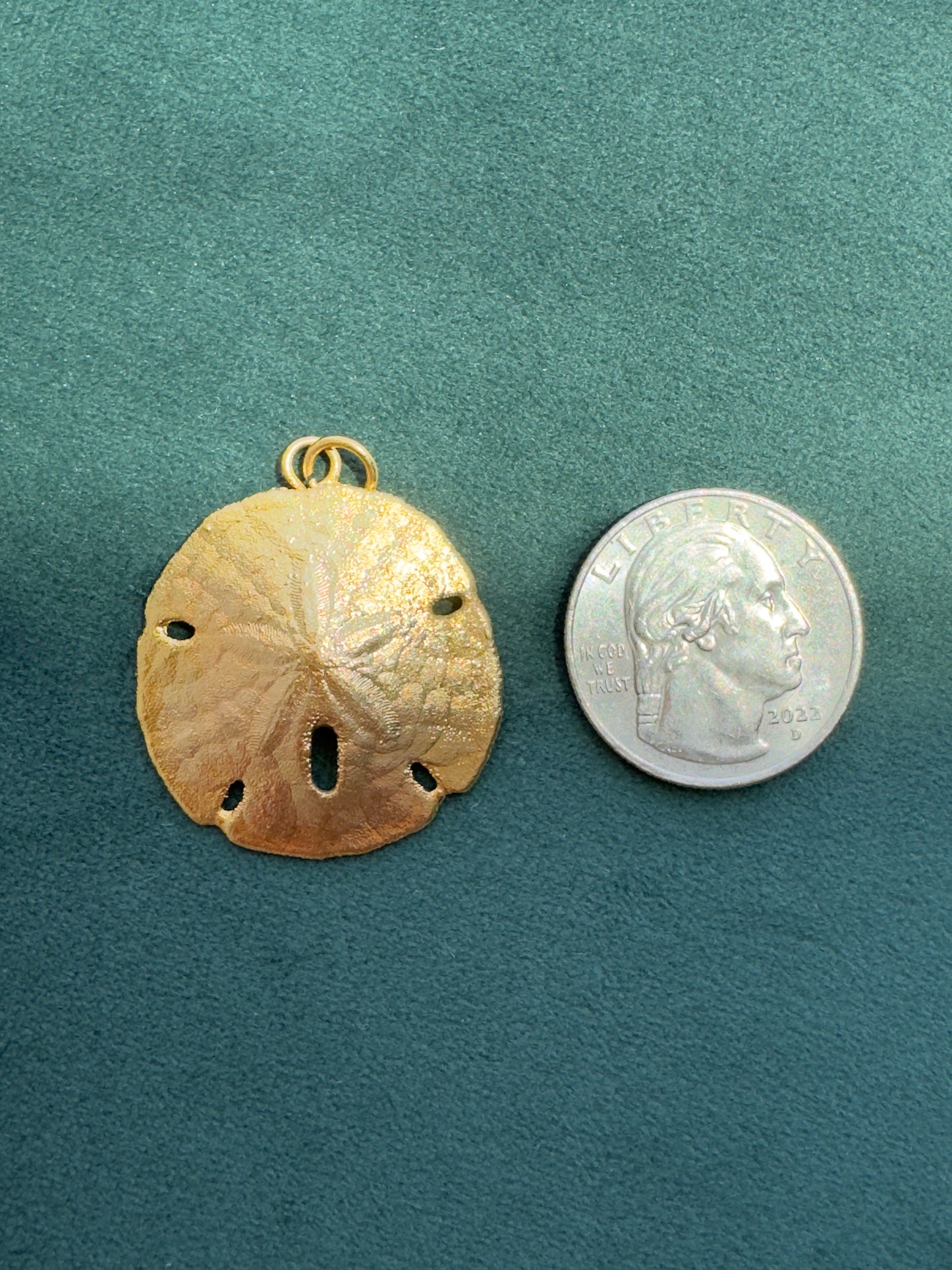 Vintage 24K Gold Dipped Real Sand Dollar Pendant Mermaid Life Beach Jewelry Size 1 of 5