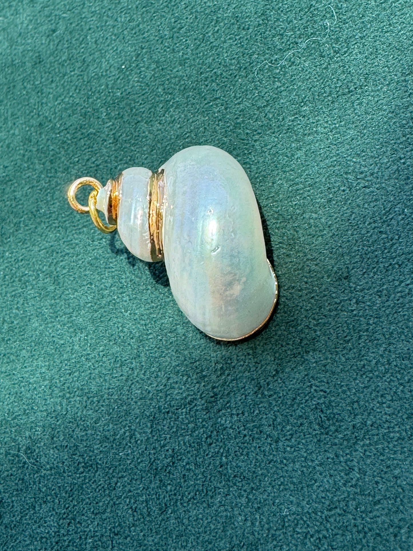 Vintage 24K Gold Dipped Natural Shell Pendant Iridescent Beach Jewelry Mermaid Life
