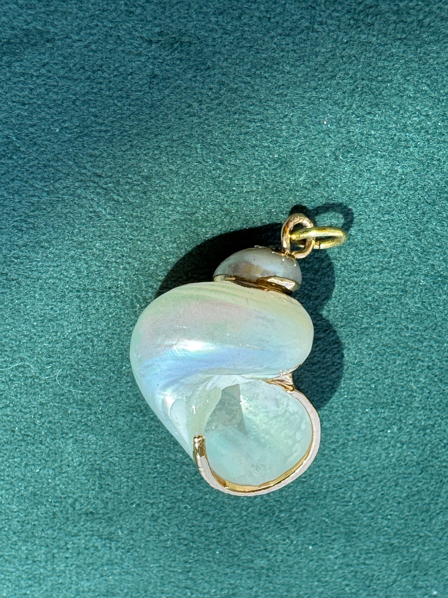 Vintage 24K Gold Dipped Natural Shell Pendant Iridescent Beach Jewelry Mermaid Life