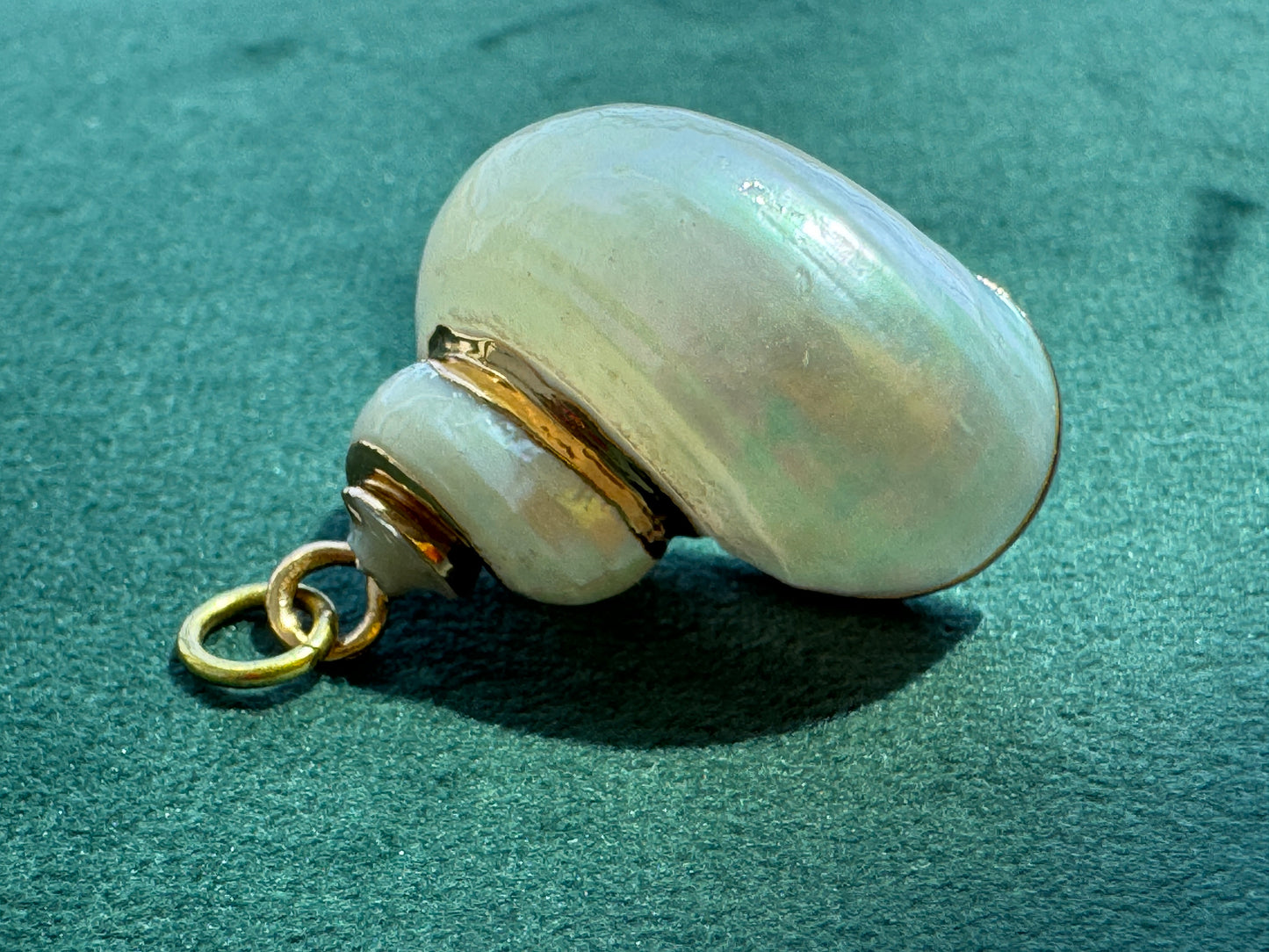 Vintage 24K Gold Dipped Natural Shell Pendant Iridescent Beach Jewelry Mermaid Life