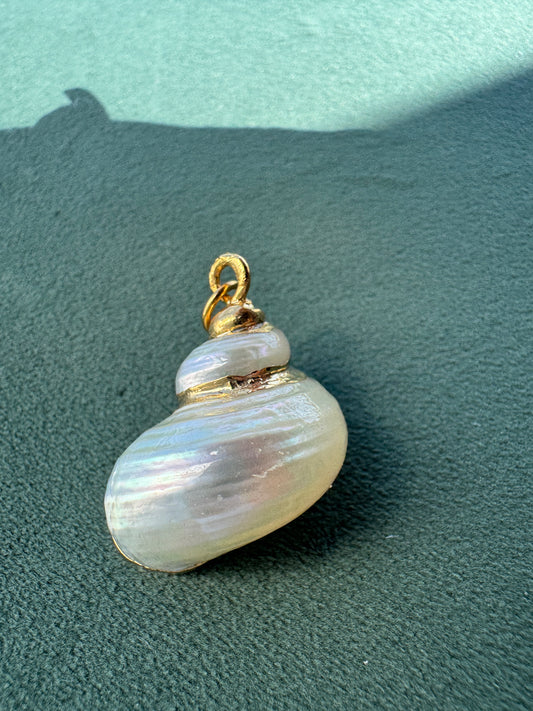 Vintage Gold Trimmed Genuine Turban Shell Pendant Soft Cream Spiral A Little Piece of Mermaid Life
