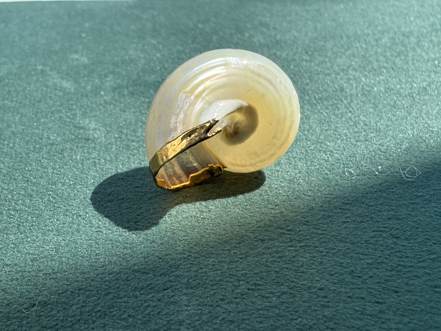 Vintage Gold Trimmed Genuine Turban Shell Pendant Soft Cream Spiral A Little Piece of Mermaid Life