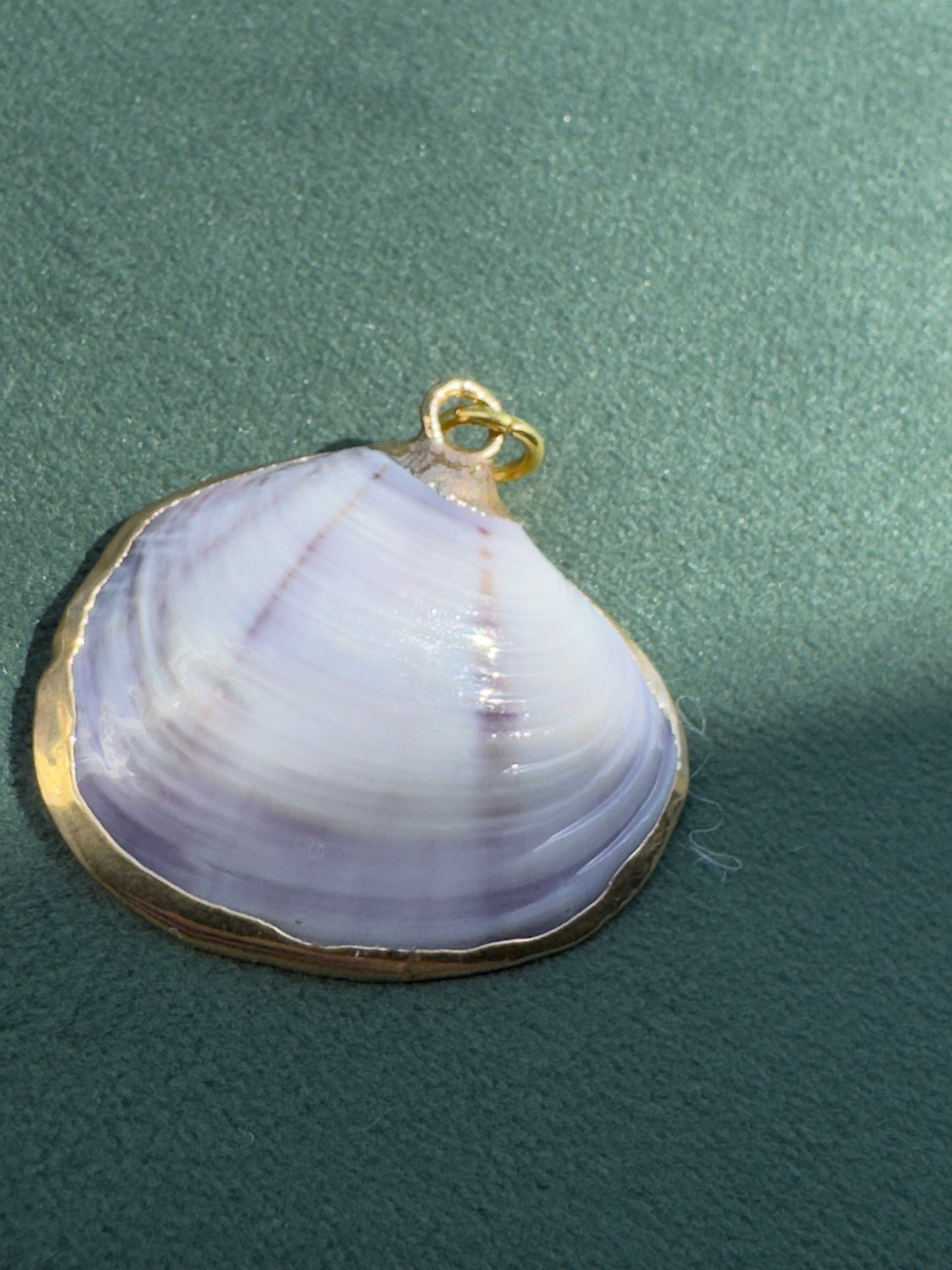 Vintage Gold Trimmed Genuine Quahog Shell Pendant Deep Lavender Natural Banding Beach Jewelry