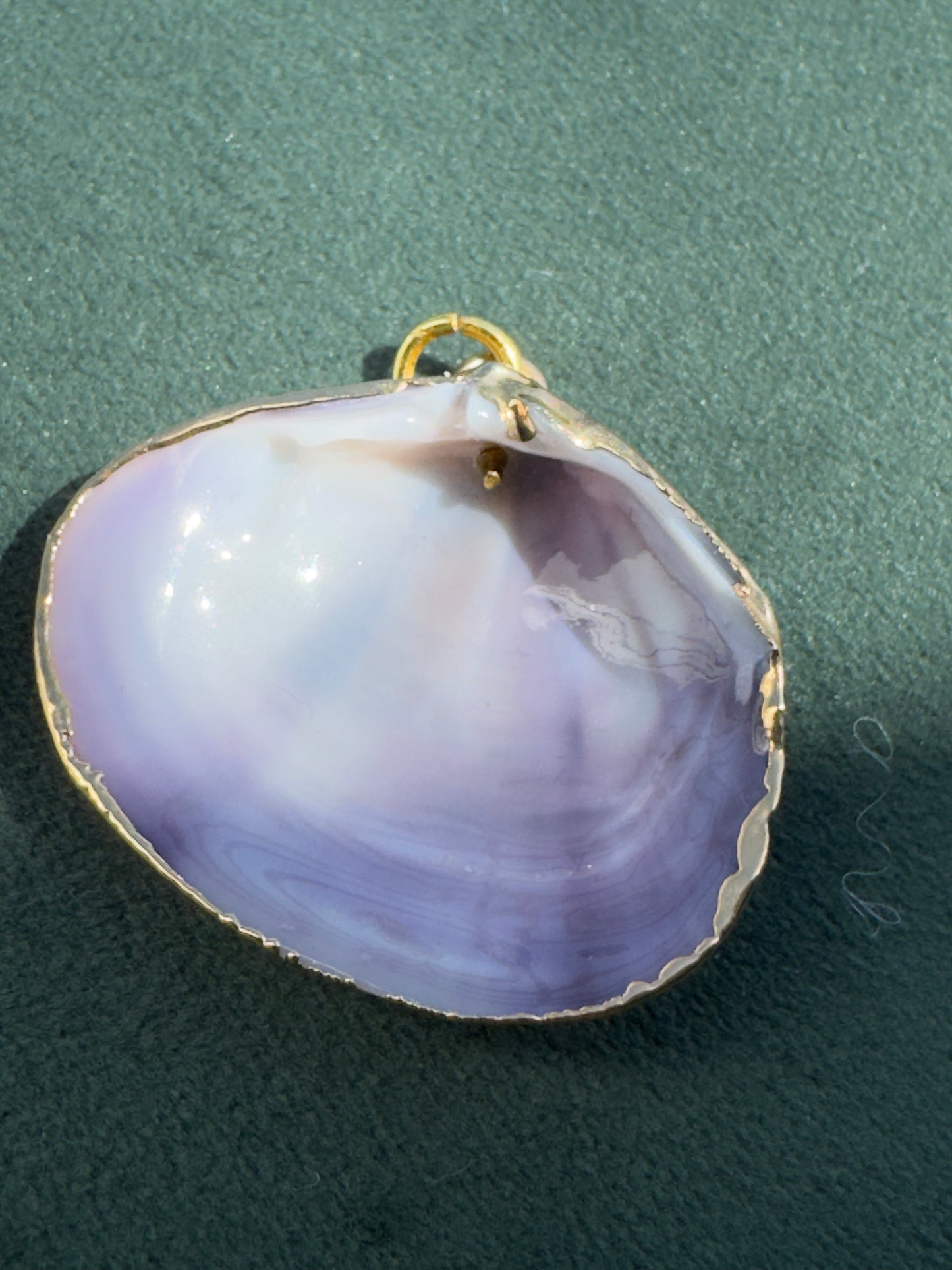 Vintage Gold Trimmed Genuine Quahog Shell Pendant Deep Lavender Natural Banding Beach Jewelry