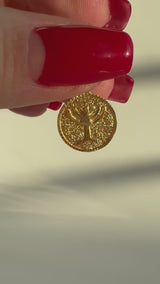 Double Sided Medallion with Menorah & Star of David